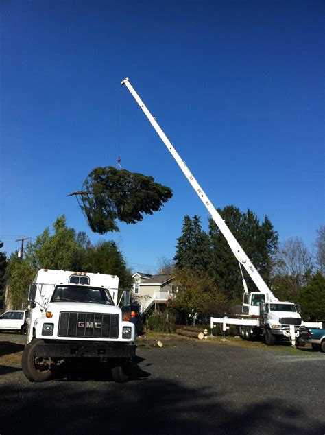 savage tree service|savage tree service quakertown pa.